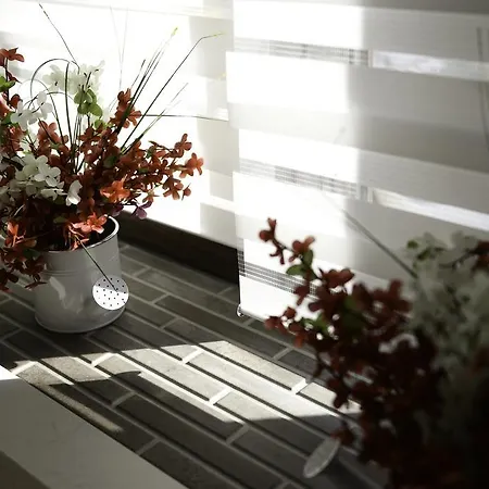 Διαμέρισμα Central Park Κλουζ-Ναπόκα