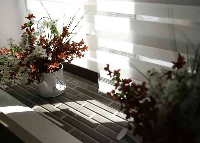 Apartment Central Park Cluj-Napoca