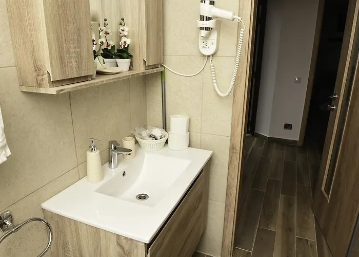 Central Park * Κλουζ-Ναπόκα